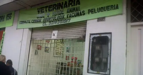 VETERINARIA CRUZ VERDE ANIMAL VETERINARIA CRUZ VERDE ANIMAL